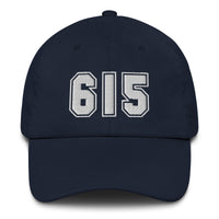 Load image into Gallery viewer, 615 Bitcoin Dad Hat-fomo21
