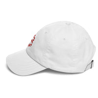 Load image into Gallery viewer, American Flag Bitcoin B Dad Hat-fomo21
