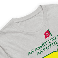 Load image into Gallery viewer, An Asset Unlike Any Other Bitcoin T-Shirt-T-Shirt-fomo21
