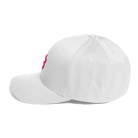 Load image into Gallery viewer, Bitcoin B (Pink Embroidery) Flexfit Hat-Flexfit Hat-fomo21
