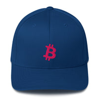 Load image into Gallery viewer, Bitcoin B (Pink Embroidery) Flexfit Hat-Flexfit Hat-fomo21
