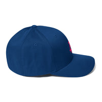 Load image into Gallery viewer, Bitcoin B (Pink Embroidery) Flexfit Hat-Flexfit Hat-fomo21
