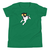 Load image into Gallery viewer, Bitcoin Is For The Chihuahuas Youth T-Shirt-fomo21
