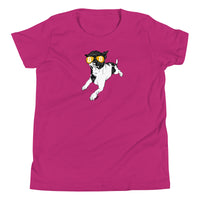 Load image into Gallery viewer, Bitcoin Is For The Chihuahuas Youth T-Shirt-fomo21
