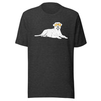 Load image into Gallery viewer, Bitcoin Is For The Labrador Retrievers T-Shirt-fomo21
