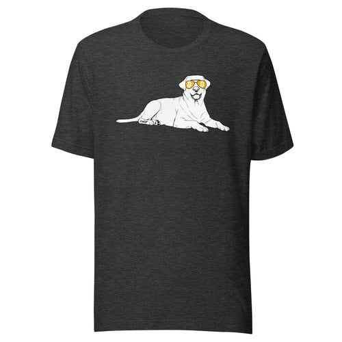 Bitcoin Is For The Labrador Retrievers T-Shirt-fomo21