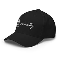 Load image into Gallery viewer, Bitcoin Is Math Flexfit Hat-fomo21

