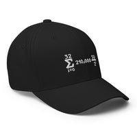 Load image into Gallery viewer, Bitcoin Is Math Flexfit Hat-fomo21
