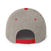 Load image into Gallery viewer, Bitcoin Select Red Snapback Hat-fomo21
