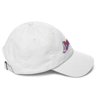 Load image into Gallery viewer, Bitcoiners Fly Bitcoin Dad Hat-Dad Hat-fomo21
