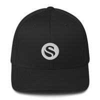 Load image into Gallery viewer, Swan Snow Icon Bitcoin Flexfit Hat - fomo21

