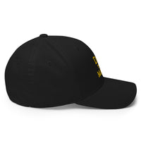 Load image into Gallery viewer, Do The Math (Gold Embroidery) Bitcoin Flexfit Hat - fomo21
