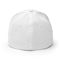 Load image into Gallery viewer, Swan Primary Logo Bitcoin Flexfit Hat - fomo21
