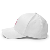 Load image into Gallery viewer, Bitcoin B (Pink Embroidery) Flexfit Hat - fomo21
