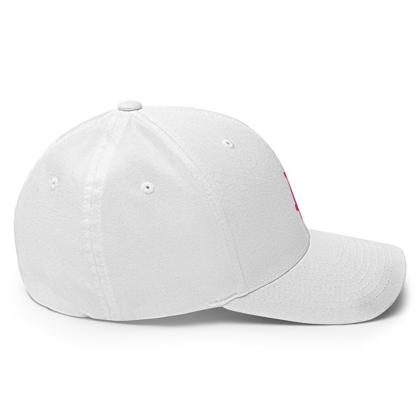 Bitcoin B (Pink Embroidery) Flexfit Hat - fomo21