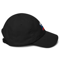 Load image into Gallery viewer, Czech Republic Flag Bitcoin B Dad Hat-fomo21
