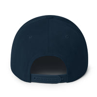 Load image into Gallery viewer, Diamond Hands Bitcoin Snapback Hat-Snapback Hat-fomo21
