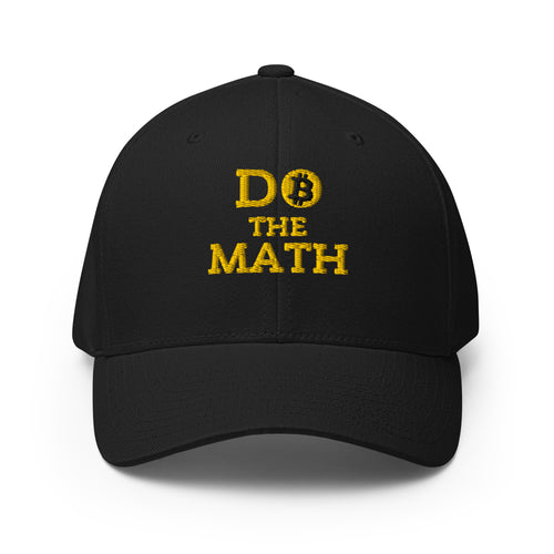 Do The Math (Gold Embroidery) Bitcoin Flexfit Hat-fomo21