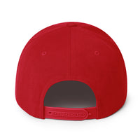 Load image into Gallery viewer, Enjoy Bitcoin Snapback Hat-fomo21
