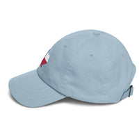 Load image into Gallery viewer, Everything Is Bitcoin In Texas Dad Hat-fomo21
