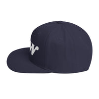 Load image into Gallery viewer, Few Bold (White Embroidery) Bitcoin Snapback Hat-fomo21
