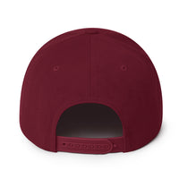 Load image into Gallery viewer, Few Bold (White Embroidery) Bitcoin Snapback Hat-fomo21
