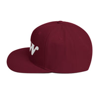 Load image into Gallery viewer, Few Bold (White Embroidery) Bitcoin Snapback Hat-fomo21
