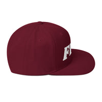 Load image into Gallery viewer, Few Bold (White Embroidery) Bitcoin Snapback Hat-fomo21

