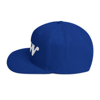 Load image into Gallery viewer, Few Bold (White Embroidery) Bitcoin Snapback Hat-fomo21
