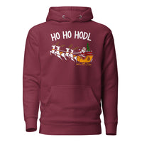 Load image into Gallery viewer, Ho Ho HODL Bitcoin Hoodie Sweatshirt-Pullover Hoodie Sweatshirt-fomo21

