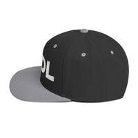Load image into Gallery viewer, HODL Bitcoin Snapback Hat-fomo21
