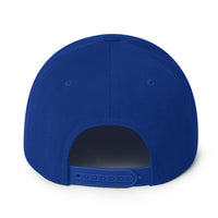 Load image into Gallery viewer, HODL Bitcoin Snapback Hat-fomo21
