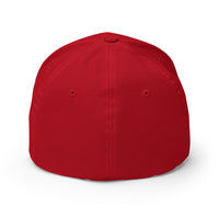 Load image into Gallery viewer, Make Money Great Again Bitcoin Flexfit Hat-fomo21
