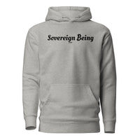 Load image into Gallery viewer, Sovereign Being Bitcoin B Hoodie Sweatshirt-Pullover Hoodie Sweatshirt-fomo21
