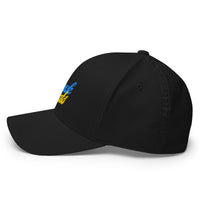 Load image into Gallery viewer, Stack Sats Bitcoin Flexfit Hat-fomo21
