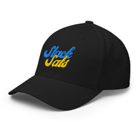 Load image into Gallery viewer, Stack Sats Bitcoin Flexfit Hat-fomo21
