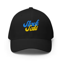 Load image into Gallery viewer, Stack Sats Bitcoin Flexfit Hat-fomo21
