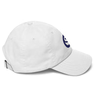Load image into Gallery viewer, Swan Primary Legacy Icon Bitcoin Dad Hat-fomo21
