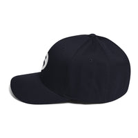 Load image into Gallery viewer, Swan Snow Legacy Icon Bitcoin Flexfit Hat-fomo21
