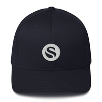 Load image into Gallery viewer, Swan Snow Legacy Icon Bitcoin Flexfit Hat-fomo21
