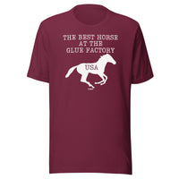 Load image into Gallery viewer, The Best Horse At The Glue Factory Bitcoin T-Shirt-T-Shirt-fomo21

