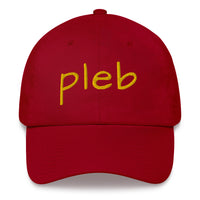 Load image into Gallery viewer, Pleb 2 (Gold Lettering) Dad Hat - fomo21
