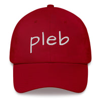 Load image into Gallery viewer, Pleb 2 (White Lettering) Dad Hat - fomo21
