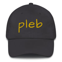 Load image into Gallery viewer, Pleb 2 (Gold Lettering) Dad Hat - fomo21

