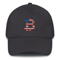 Load image into Gallery viewer, American Flag Bitcoin Dad Hat - fomo21
