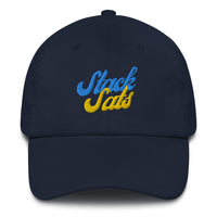 Load image into Gallery viewer, Stack Sats Bitcoin Dad Hat - fomo21
