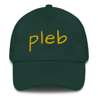 Load image into Gallery viewer, Pleb 2 (Gold Lettering) Dad Hat - fomo21
