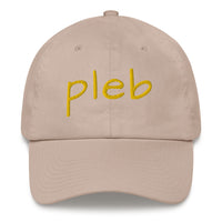 Load image into Gallery viewer, Pleb 2 (Gold Lettering) Dad Hat - fomo21
