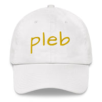 Load image into Gallery viewer, Pleb 2 (Gold Lettering) Dad Hat - fomo21
