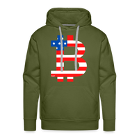 Load image into Gallery viewer, American Bitcoin B Hoodie Sweatshirt - olive green
